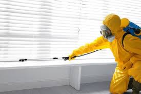 Best Bed Bug Extermination  in Canutillo, TX